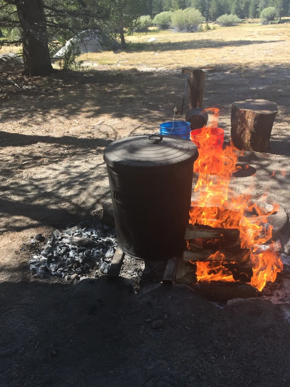 Large covered stockpot cooking beside an open wood fire in a forest clearing